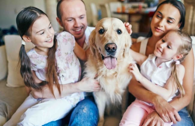 Eine Familie streichelt einen hellen Hund auf einem beigen Sofa