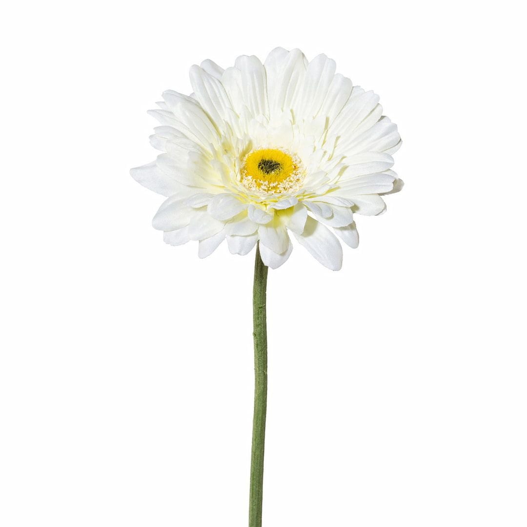 [name)