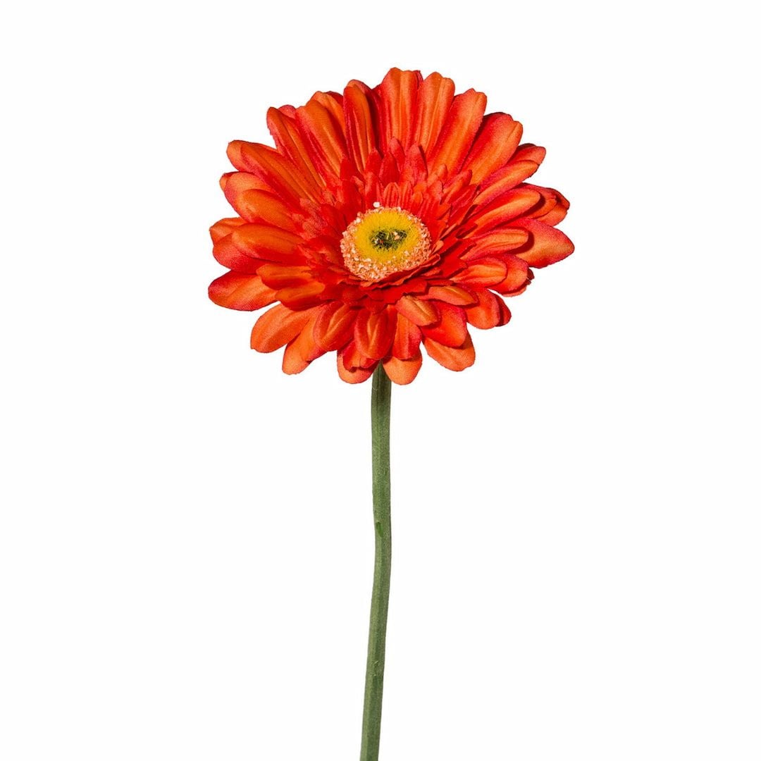 [name)