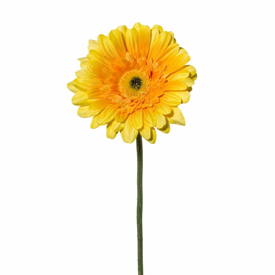 [name)