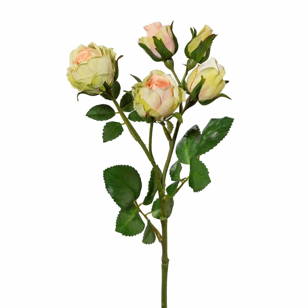 [name)