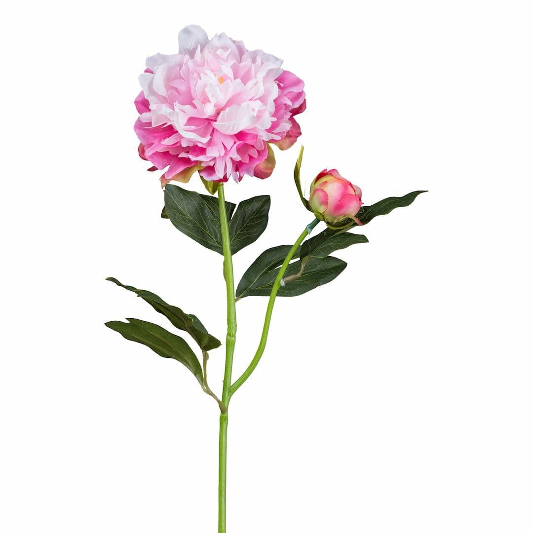 [name)