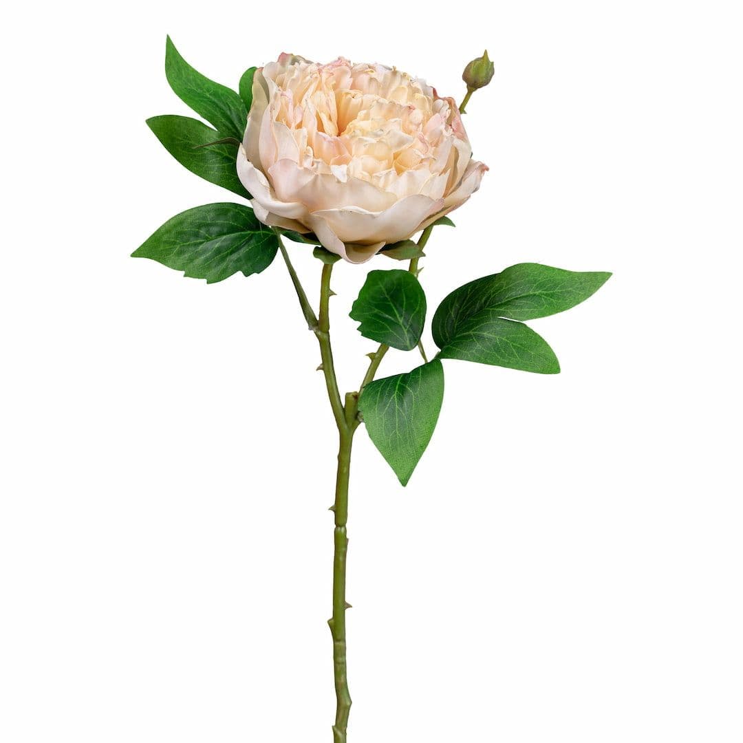 [name)