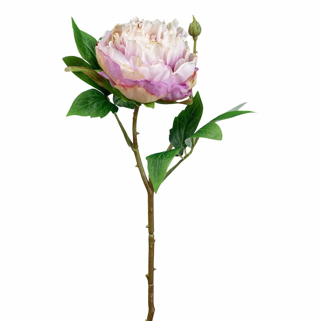 [name)