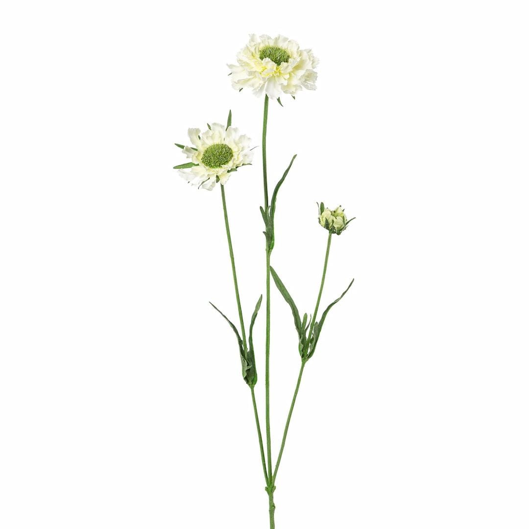 [name)
