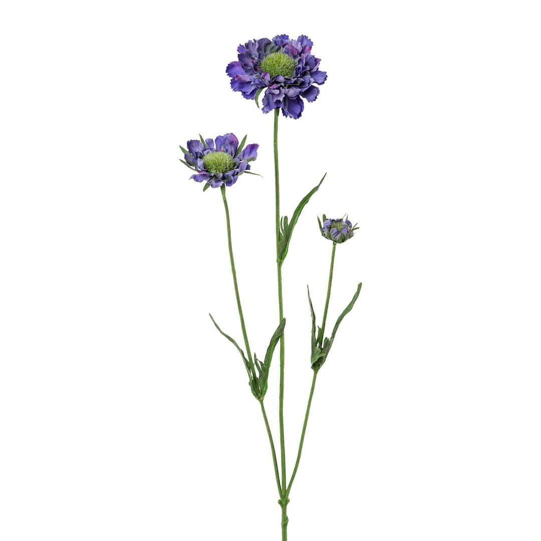 [name)