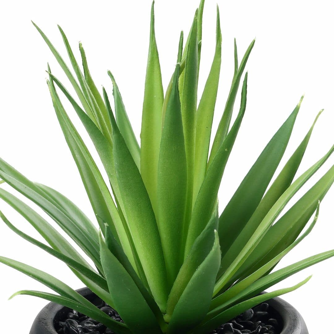 [name)