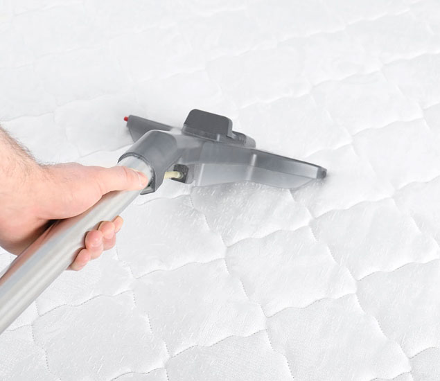 8. Stoppt die Milben!